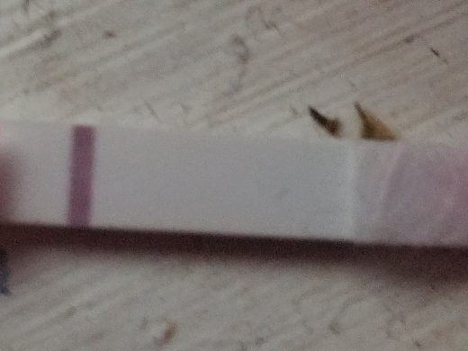 Home Pregnancy Test