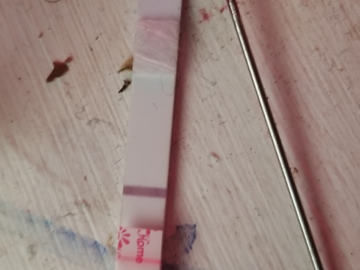 Home Pregnancy Test