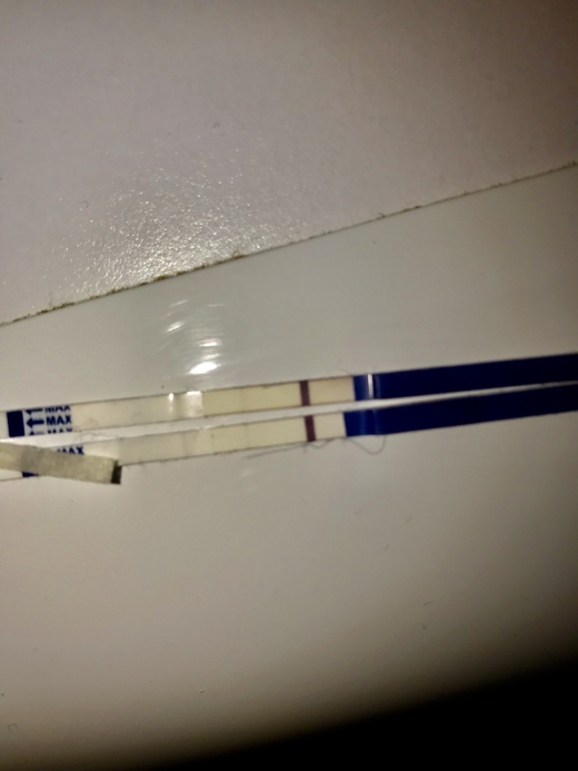 Home Pregnancy Test, 12 Days Post Ovulation, FMU