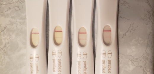 First Response Early Pregnancy Test, FMU