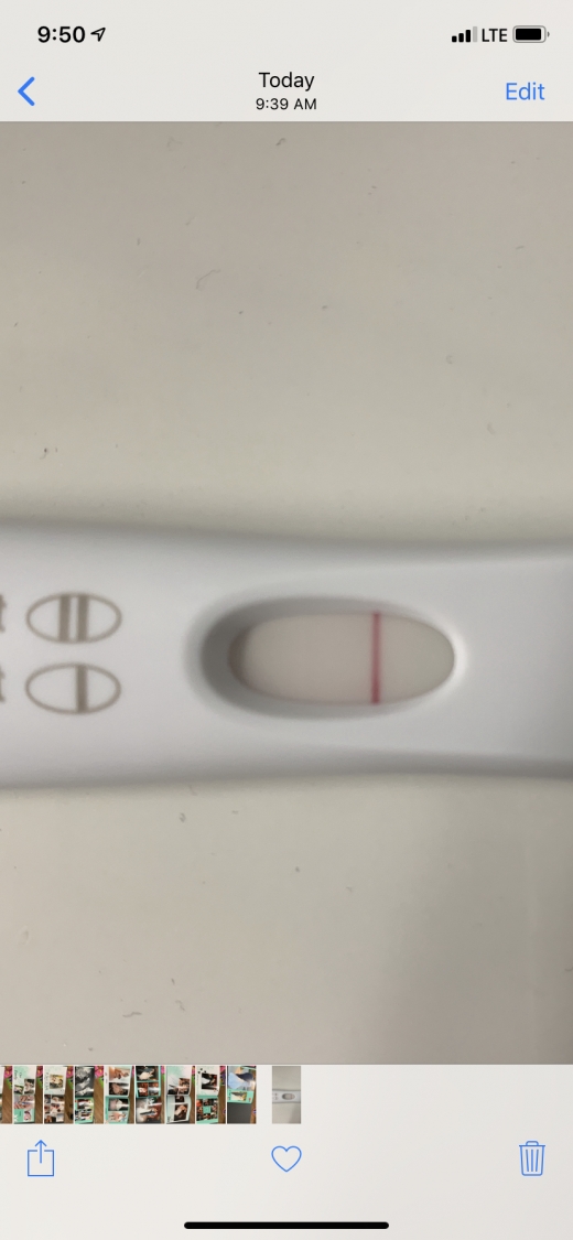 First Response Early Pregnancy Test