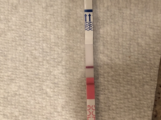 Home Pregnancy Test