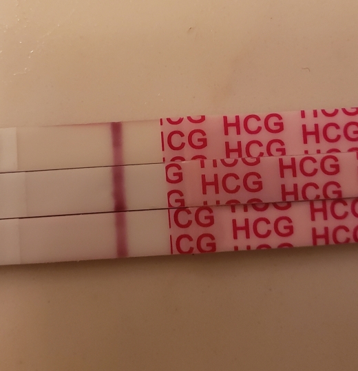 Wondfo Test Strips Pregnancy Test, Cycle Day 24