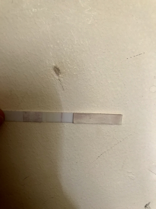 Home Pregnancy Test, 8 Days Post Ovulation