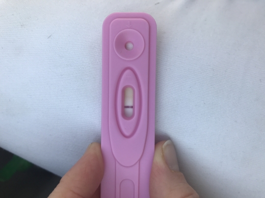 Home Pregnancy Test