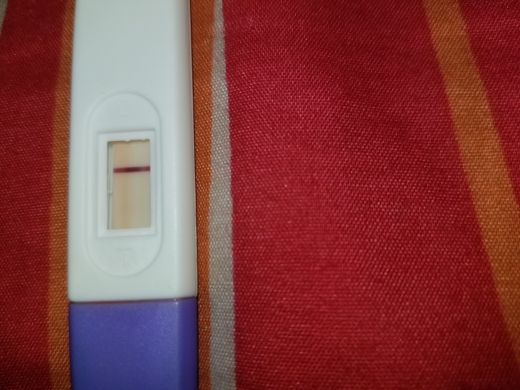 Home Pregnancy Test
