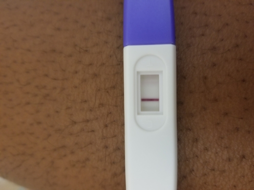 Home Pregnancy Test