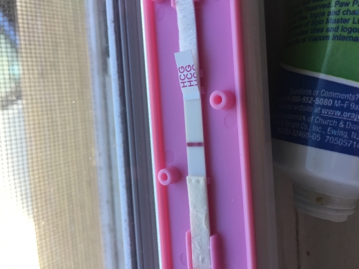 New Choice Pregnancy Test