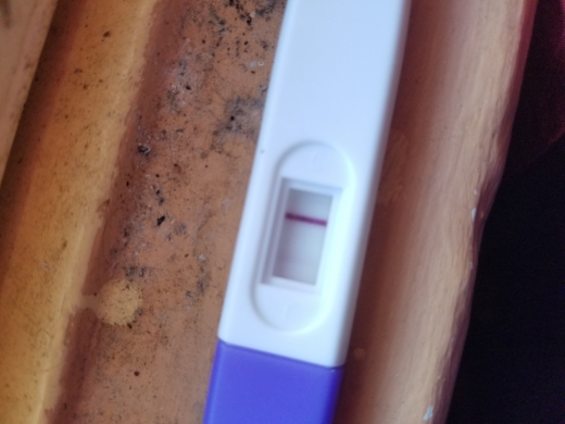 Home Pregnancy Test