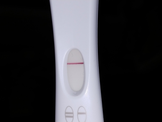Home Pregnancy Test