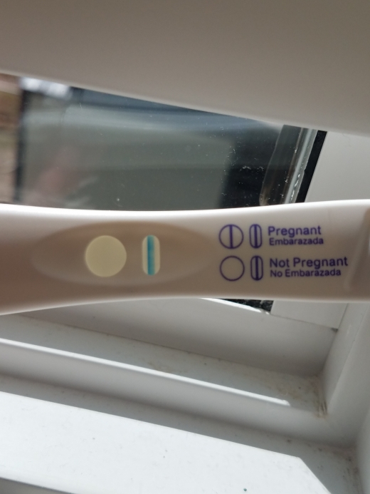 Home Pregnancy Test