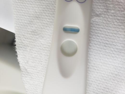 Home Pregnancy Test
