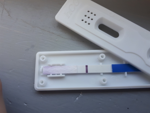 Home Pregnancy Test