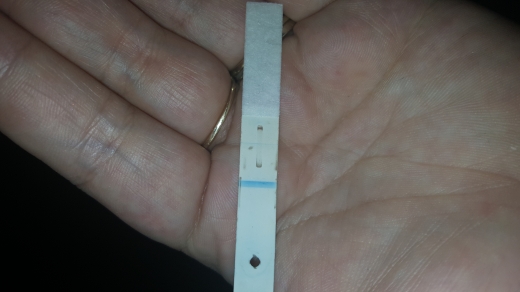 Home Pregnancy Test