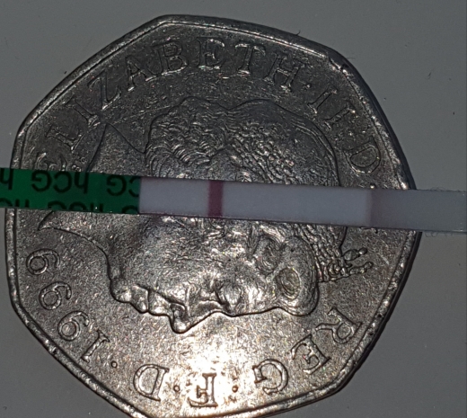 Home Pregnancy Test