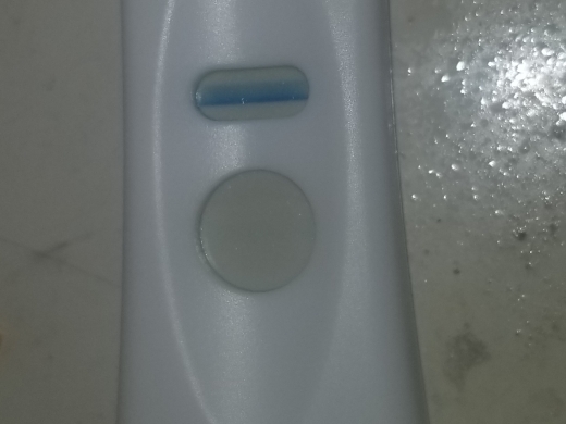 Home Pregnancy Test