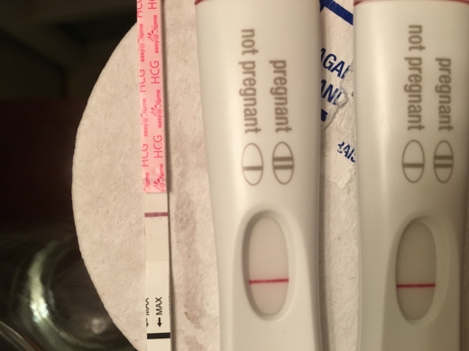 Home Pregnancy Test