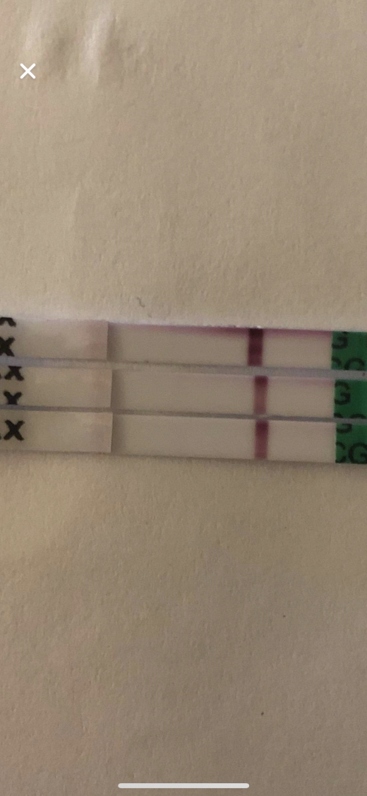 Home Pregnancy Test