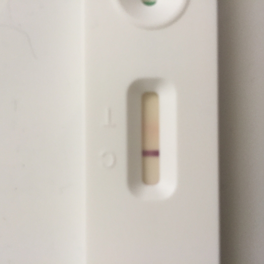 New Choice Pregnancy Test