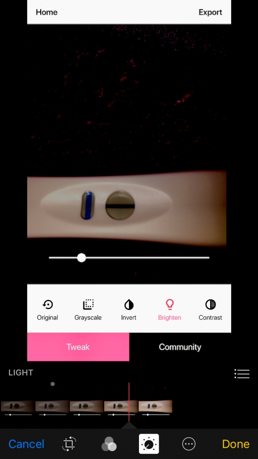 Home Pregnancy Test