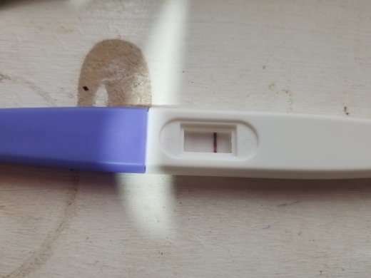 Home Pregnancy Test