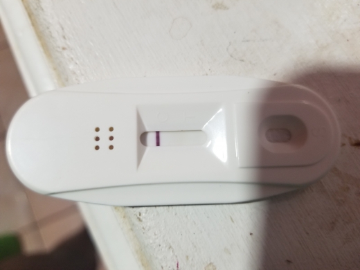 Home Pregnancy Test