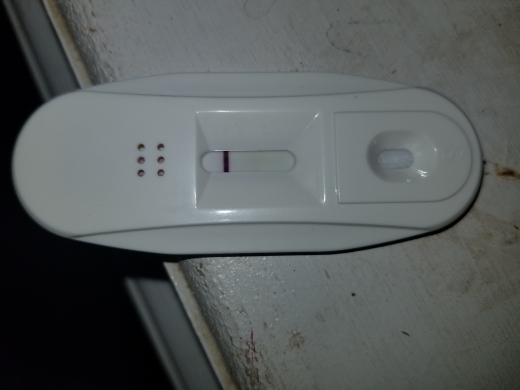 Home Pregnancy Test