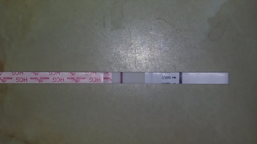 Home Pregnancy Test