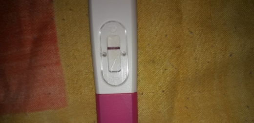 e.p.t. Pregnancy Test