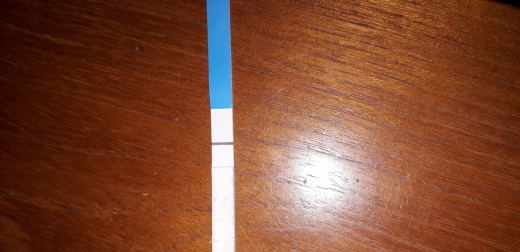 e.p.t. Pregnancy Test
