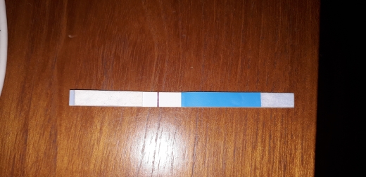e.p.t. Pregnancy Test