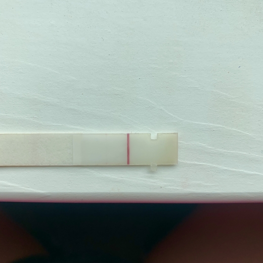 Home Pregnancy Test