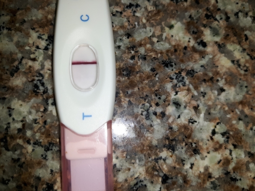 Home Pregnancy Test