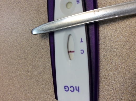 Home Pregnancy Test