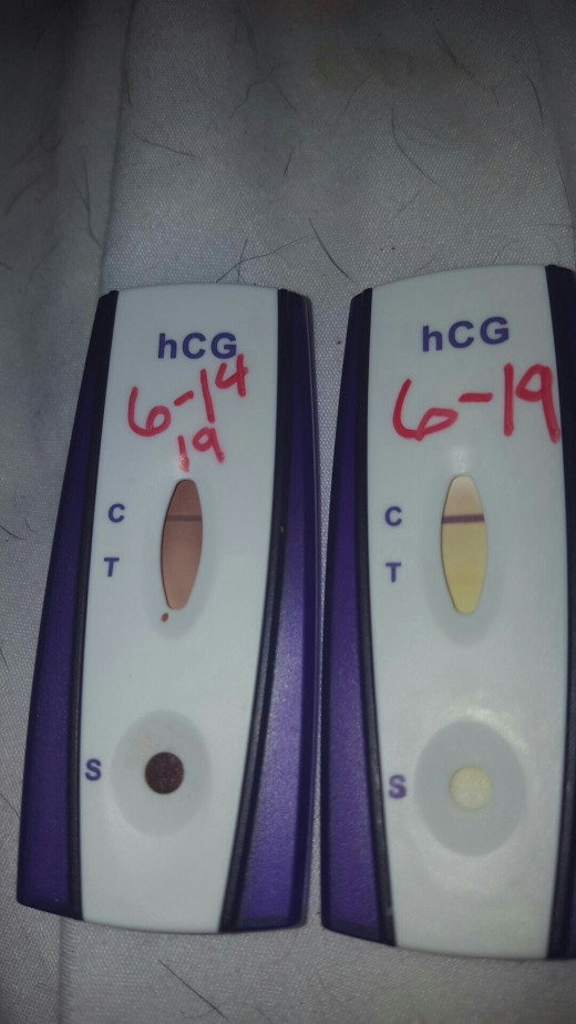 Generic Pregnancy Test, Cycle Day 19