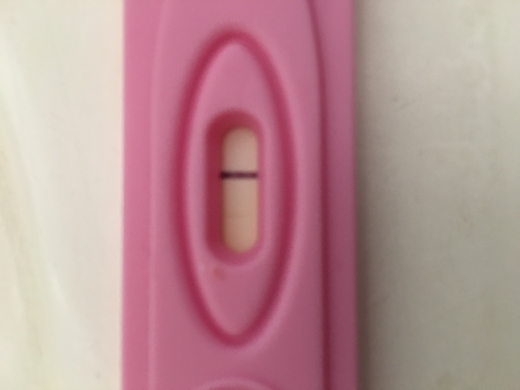 New Choice (Dollar Tree) Pregnancy Test