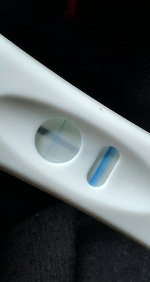 Equate One Step Pregnancy Test, 19 Days Post Ovulation, Cycle Day 38