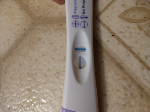 Home Pregnancy Test