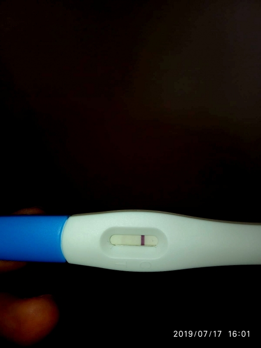 Home Pregnancy Test