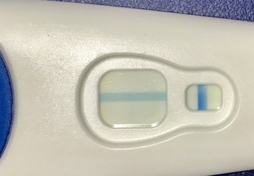 Home Pregnancy Test