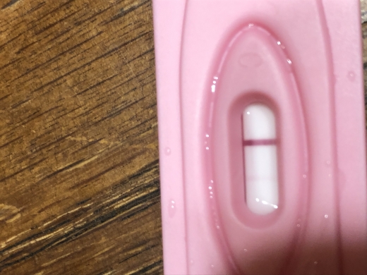 New Choice Pregnancy Test