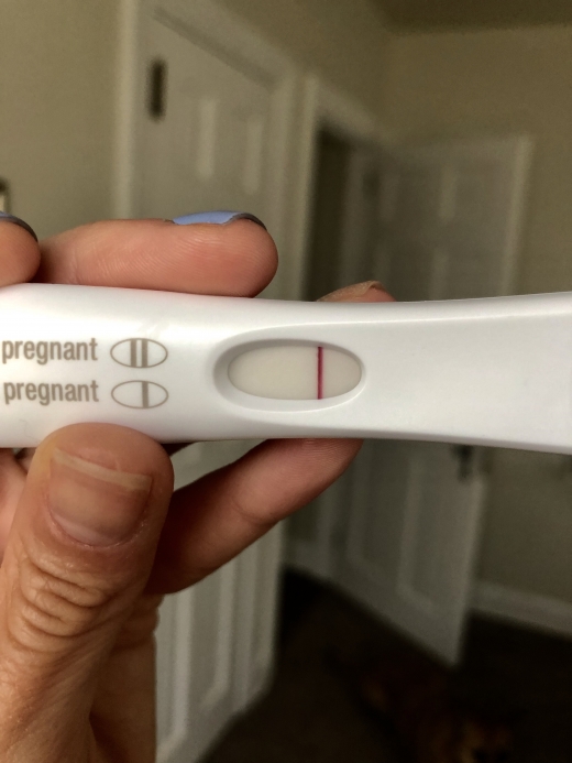 Home Pregnancy Test