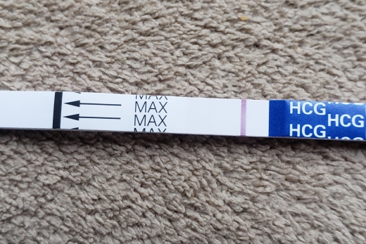 Wondfo Test Strips Pregnancy Test, 8 Days Post Ovulation, FMU