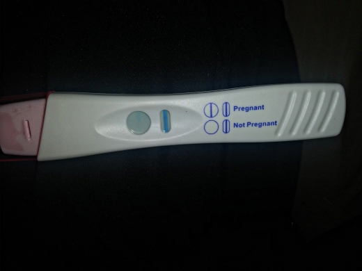 e.p.t. Pregnancy Test