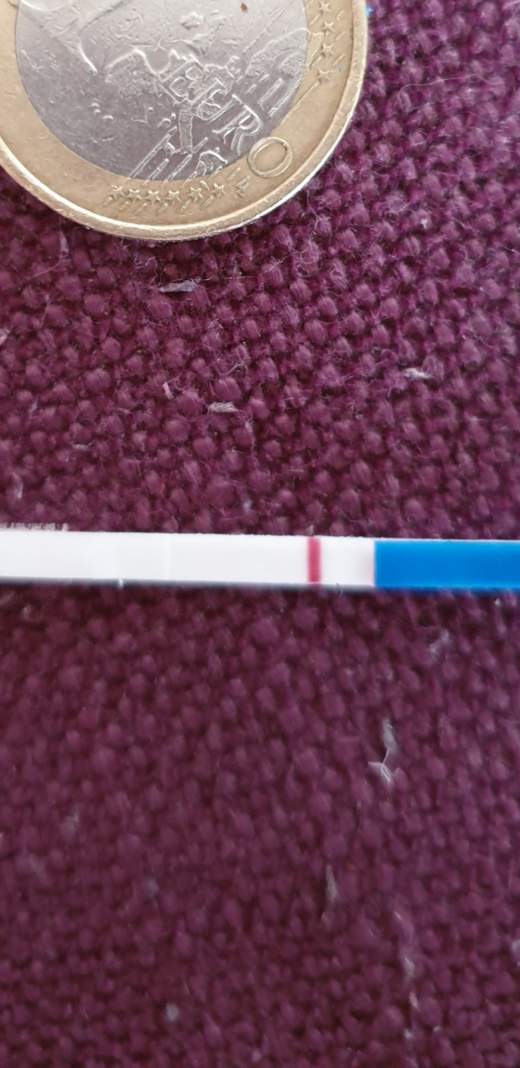 Home Pregnancy Test