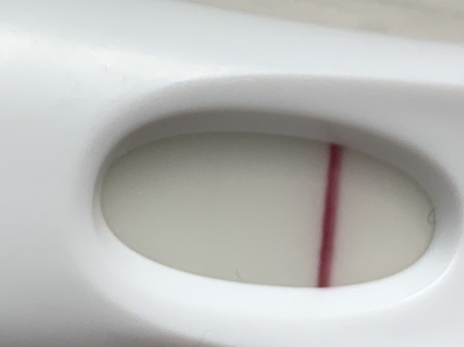 First Response Early Pregnancy Test