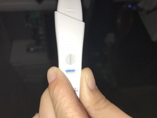 e.p.t. Pregnancy Test