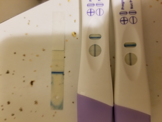 Home Pregnancy Test