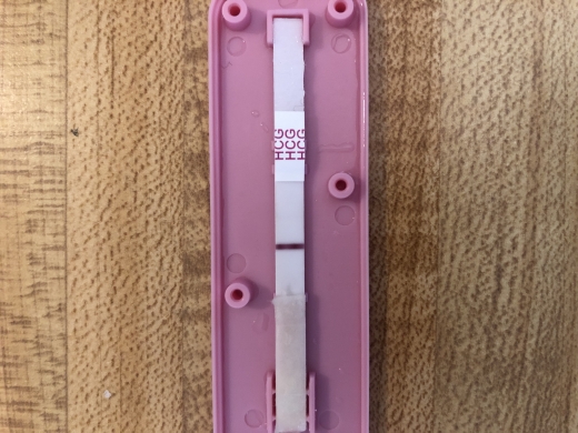 New Choice Pregnancy Test, Cycle Day 28