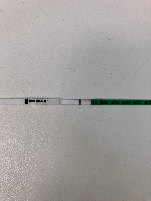 Home Pregnancy Test, 8 Days Post Ovulation, FMU, Cycle Day 27